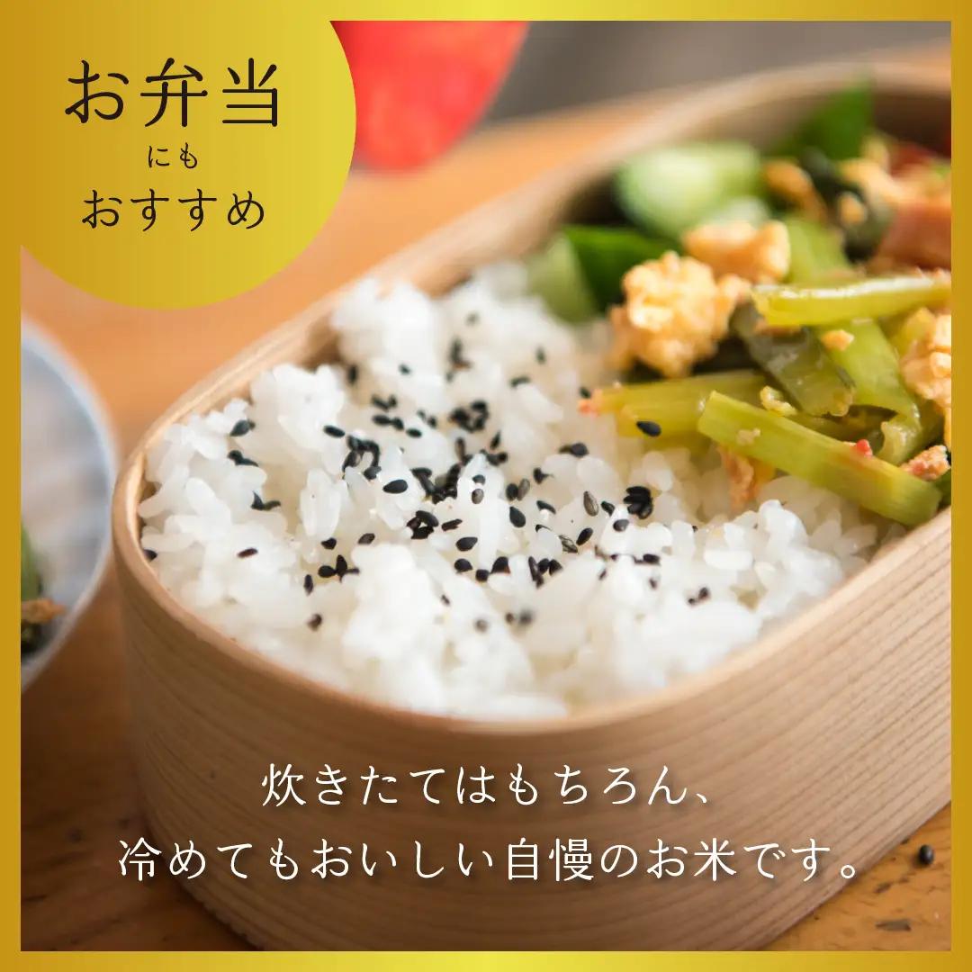 コシヒカリ 15kg  令和7年産 【幻の米】コシヒカリ 長野県 飯山市 7-75A