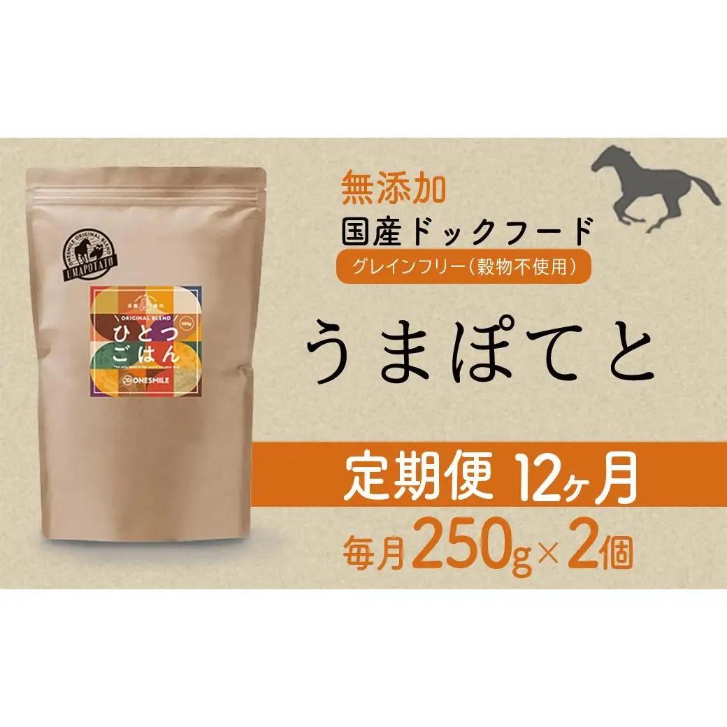 【定期便12か月】愛犬ごはん【ひとつごはん】うまぽてと500g 250g×2