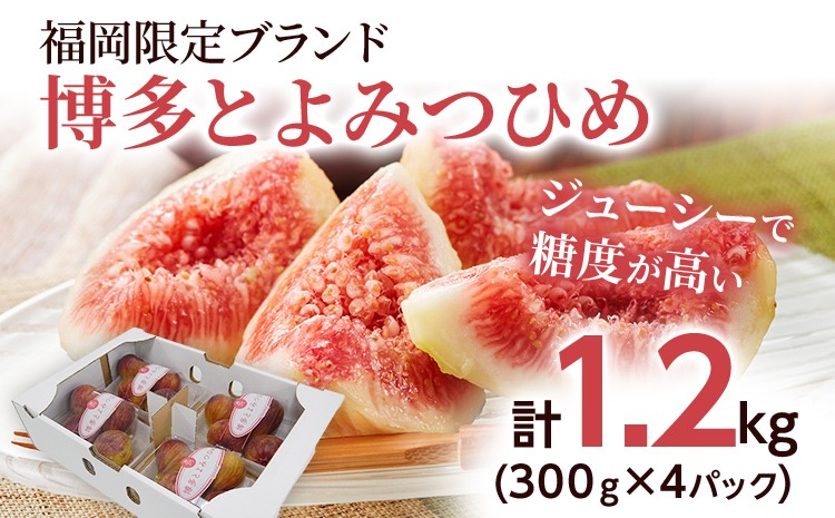 いちじく 博多とよみつひめ 300g×4パック いちじく イチジク 無花果 計1.2kg 福岡限定 フルーツ 果物 とよみつひめ 九州 福岡 ジューシー 糖度が高い スムージー フレッシュ 福岡県産【2025年8月以降順次発送予定】