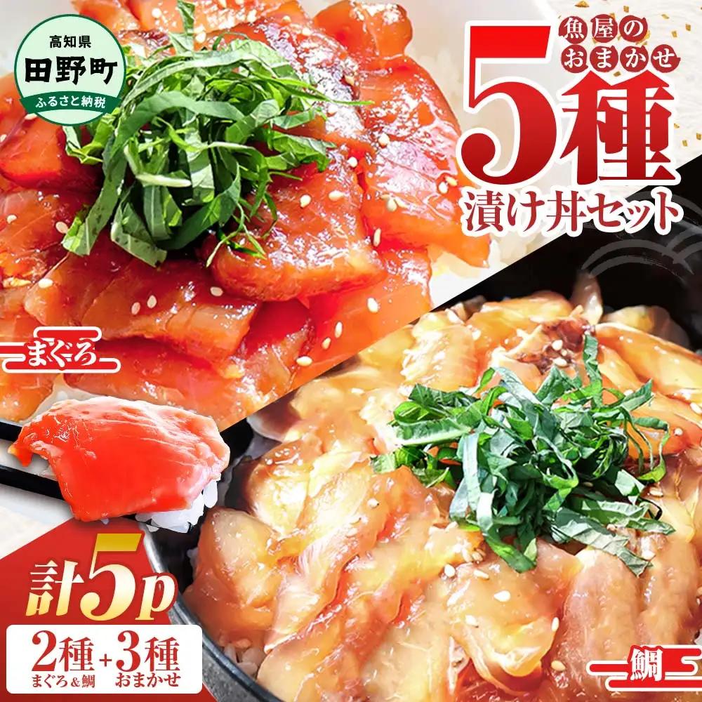 これが魚屋の漬け丼だ！海鮮5種食べ比べセット 《訳あり》 80ｇ×5P 