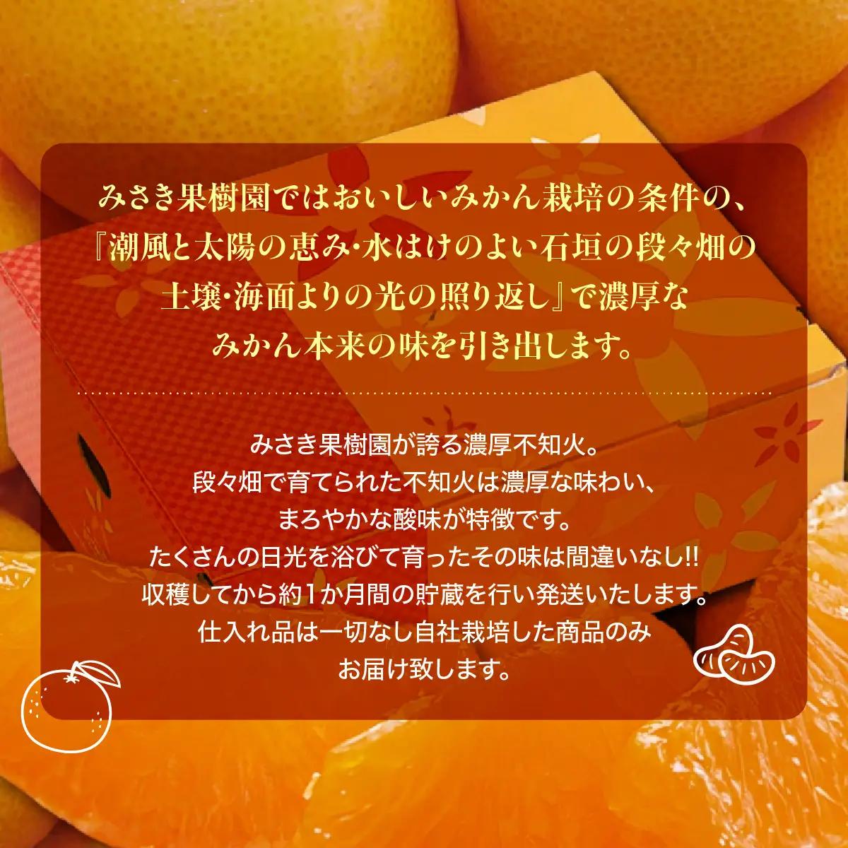 【先行受付】みさき果樹園で栽培・収穫・段々畑育ちの濃厚不知火5kg【C21-63】YWTBC044