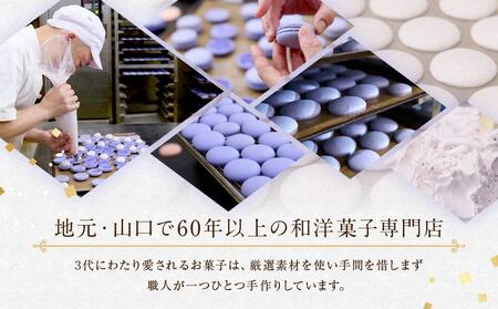 リボン付 マカロン 25個入 天使がくれたマカロン お菓子