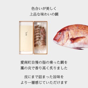 【鯛】 わら焼き 鯛 の たたき 真鯛 鯛 鯛 愛媛県 愛南町 シュートエンタープライズ