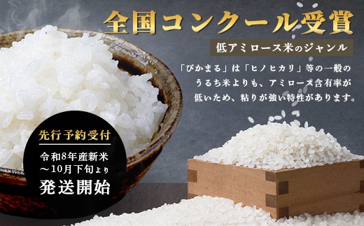 【定期便2回】令和8年産 ぴかまる 5kg×2