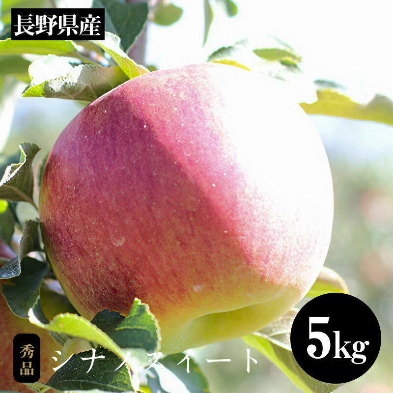 【ふるさと納税】りんご シナノスイート 香りも良く食べやすい! 長野県産 りんご シナノスイート 約5kg 秀品 ＜2025年10月中旬〜11月中旬発送＞| 果物 くだもの フルーツ りんご リンゴ 林檎 シナノスイート 長野県 信州 南信州 飯田市 B15