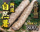 【ふるさと納税】≪標高375mで採れた≫自然薯化粧箱入り800g【配達不可：離島】 広島 三原 とろろ 029005