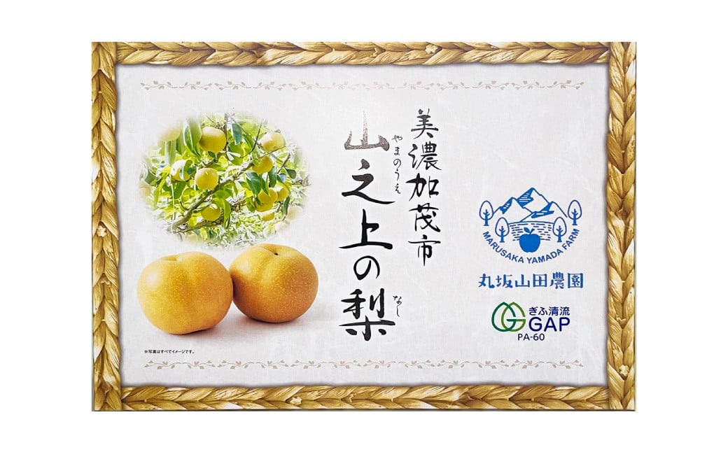 ｢丸坂山田農園｣ 山之上梨 新高 1箱 （ 約3.5kg ／ 3～6玉 ）