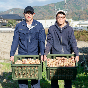 AT3 菊芋パウダー　150ｇ×４パック