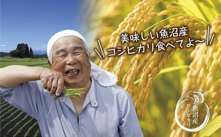 【令和7年産 新米予約】 無地熨斗 魚沼産 コシヒカリ 2kg 精米 農家のこだわり 新潟県 十日町市 お米 こめ 白米 コメ 食品 人気 おすすめ 送料無料 ご飯 ブランド米 銘柄米 