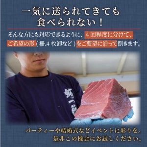 鷹島産本まぐろ定期便（1本分）【T00-001】（マグロ まぐろ 本マグロ 本まぐろ 鮪 赤身 中トロ 冷凍 刺身 刺し身 海鮮 海の幸 魚 魚介 九州 長崎 松浦市）