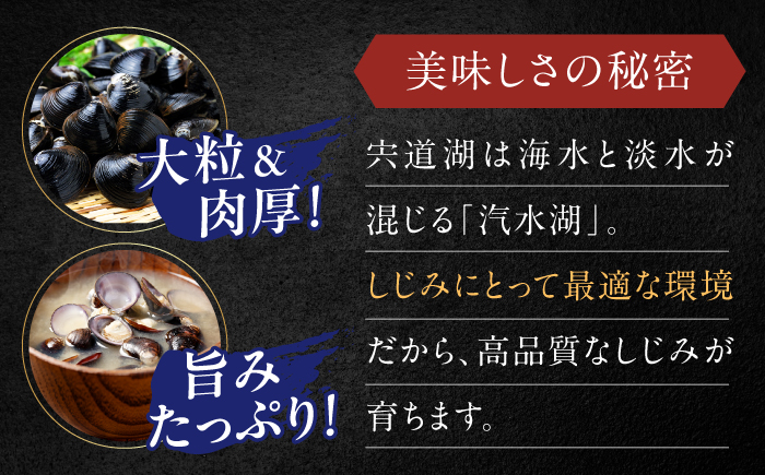 【全12回定期便】宍道湖産 「しじみ」 200g×4 島根県松江市/有限会社ヤマヲ水産 [ALDB023]