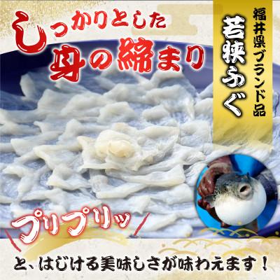 ふるさと納税 小浜市 若狭ふぐ　てっさ　(8人前) |  | 02