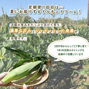 全2回 定期便 野菜 とうもろこし しいたけ 野菜 JGAP