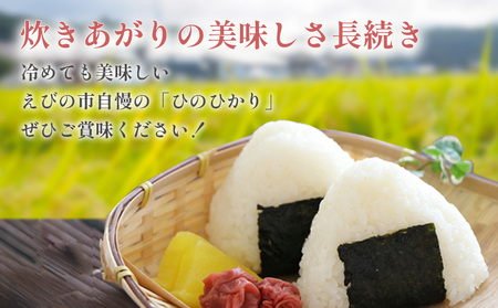 【3ヶ月定期便】新米 令和6年産 えびの産 ひのひかり 5kg×3ヶ月 合計 15kg お米 精米 白米 ご飯 特選米 国産  宮崎県産 九州産 送料無料 こめ おにぎり お弁当