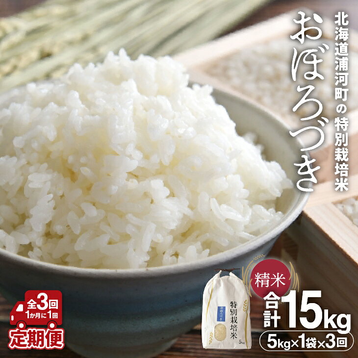 【ふるさと納税】北海道浦河町の特別栽培米「おぼろづき」精米(5kg×1袋)定期便(全3回)[37-1491] 北海道 浦河 ふるさと納税 特別栽培米 おぼろづき 令和8年度 米 精米 定期便 全3回 送料無料