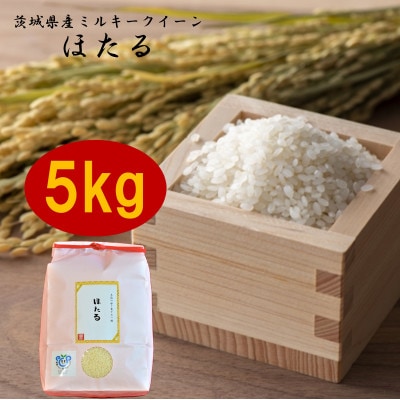 茨城県産ミルキークイーンほたる5kg【1342893】