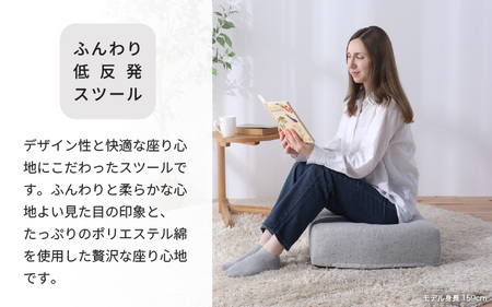 【ブラック】低反発スツール ニーノ ／ ゆったり デザイン マットレス オットマン [aw055-a011_01]