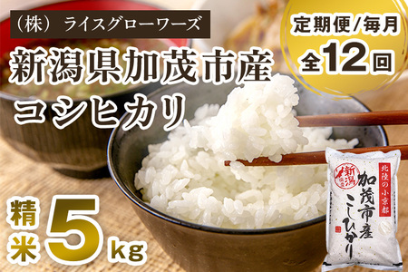 【令和8年産新米先行予約】【定期便12ヶ月毎月お届け】新潟県加茂市産コシヒカリ 精米5kg《10月上旬～順次出荷》 白米 （株）ライスグローワーズ