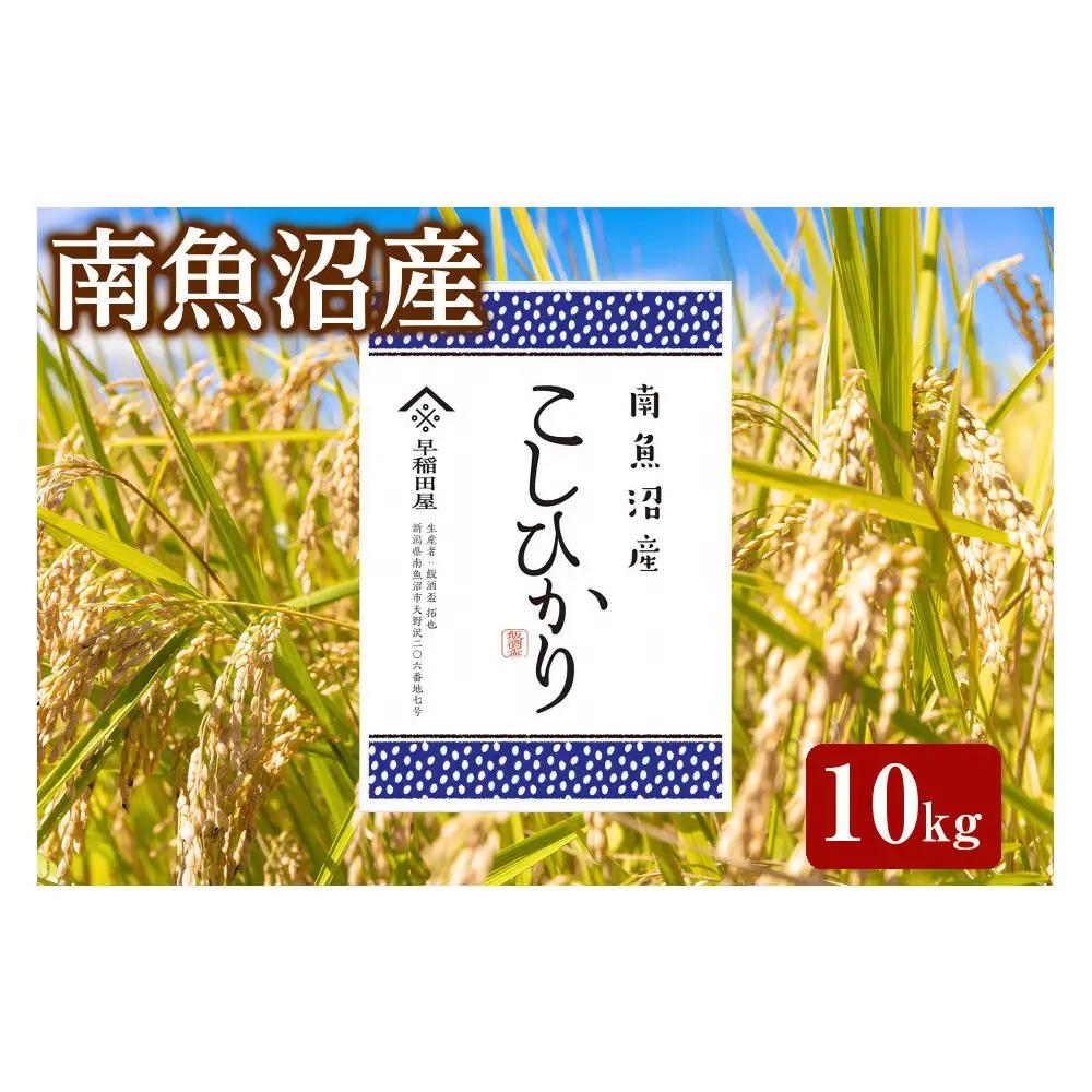 【ふるさと納税】【令和8年 新米予約】特別栽培米　南魚沼産コシヒカリ 10kg　塩沢産コシヒカリ【2026年10月中旬より1ヵ月以内に順次発送予定】｜コシヒカリ
