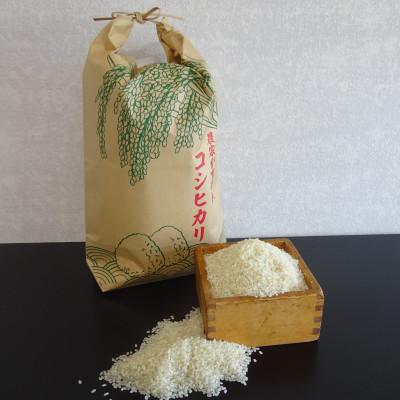 ふるさと納税 いわき市 令和7年産福島県産コシヒカリ(精米)5kg+お惣菜A【複数個口で配送】随時発送可