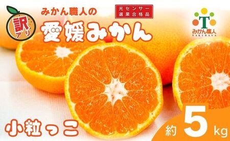 訳あり 愛媛みかん 小粒っ子 5kg   柑橘 果物 国産 フルーツ 蜜柑 ミックス 不揃い 傷 温州 ビタミン 美味しい みかん職人武田屋 愛媛県 愛南町