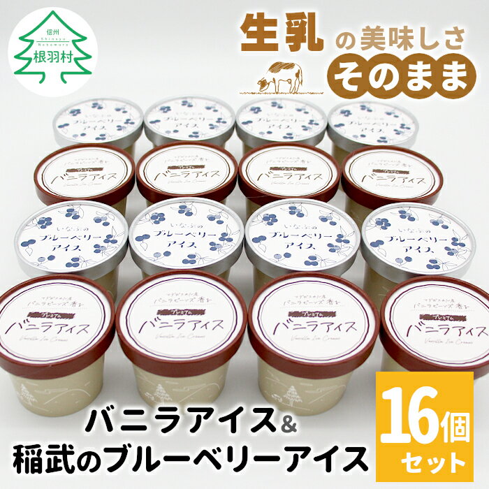 【ふるさと納税】マダガスカル産バニラビーンズ香る バニラアイス＆いなぶのブルーベリー 16個入り80ml アイスクリーム バニラ ブルーベリー ソース ソフトクリーム 無農薬 スイーツ 果物 マーブルアイス 濃厚 ミルク 人気 ギフト 5000円