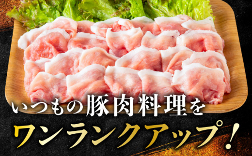 【選べる！冷凍配送 冷蔵配送】一貴山豚 切り落とし 計500g(250g×2p)  糸島市 / いきさん牧場 豚肉 [AGB056]