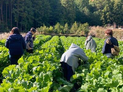 食の生産現場を巡り、地域の食をいただく 体験レストランチケット 2名様分