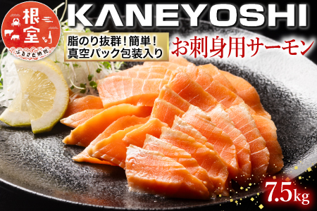 お刺身トラウトサーモン15～30本(計7.5kg) E-09001