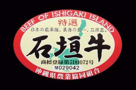 I-13 厳選石垣牛切り落とし500g