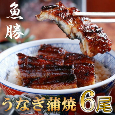 【ふるさと納税】【 予約受付中・2024年10月頃より順次発送 】中国産うなぎ蒲焼　6尾〈計約960g〉【配送不可地域：離島】【1532726】