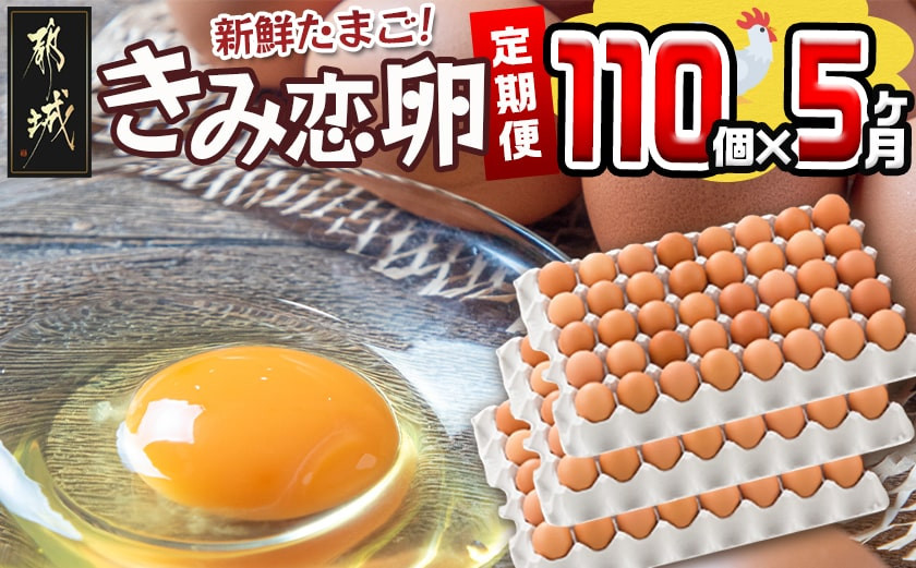 
「きみ恋卵」110個定期便(5ヶ月)_T40（5）-2901_(都城市) 赤卵 きみ恋卵 Ｍサイズ 110個 約6.5kg
