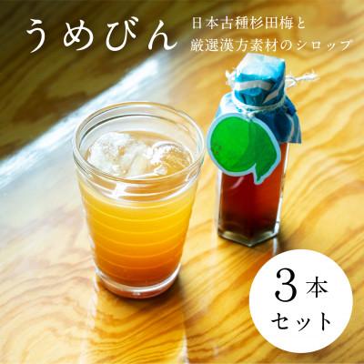 ふるさと納税 小田原市 【3本セット】濃厚梅エキスと漢方のシロップ「うめびん(杉田梅) by Kampo Kitchen」