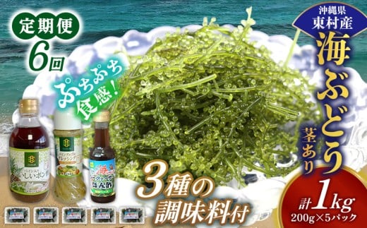 【定期便：6回】美ら海 沖縄県産 海ぶどうセット／茎あり1kg（200g×5パック）＆調味料３種セット 海ブドウ 海ぶどう うみぶどう パック 茎なし ポン酢 ドレッシング たれ付き クビレズタ 海鮮 海藻 プチプチ おつまみ 沖縄料理 ご当地 特産品 グルメ 常温 沖縄県 東村