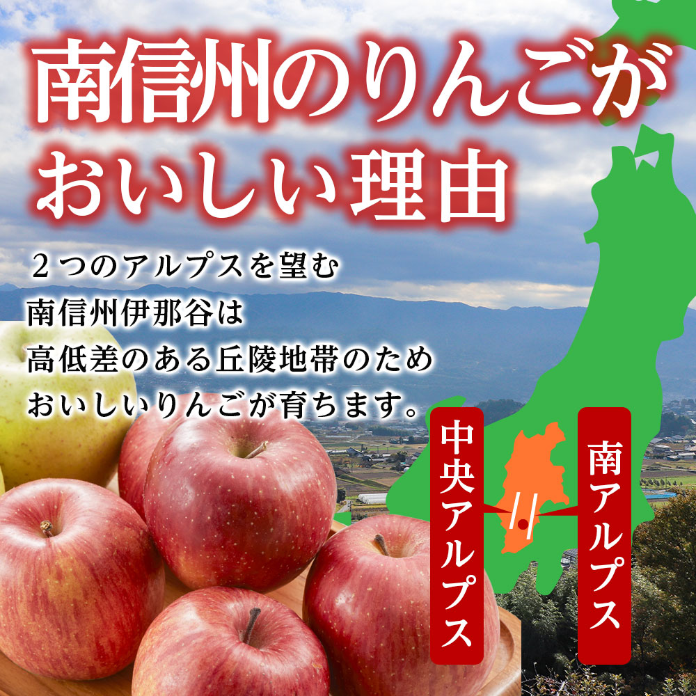 【2026年トップバッター!】長野県産りんご(つがる)約10kg 秀品 ＜2026年9月上旬から発送＞ 信州 南信州 高森町 産地直送 果物 くだもの 旬のりんご 山下屋荘介
