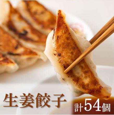 餃子家 龍 霧里 しょうが 餃子 セット 三次市/広島三次ワイナリー[APAZ046]