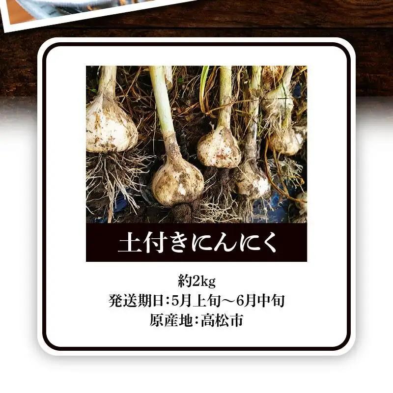 土付きにんにく 約2kg【2027年5月上旬～2027年6月中旬配送】| にんにく