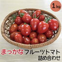 【予約受付：発送は令和6年5月下旬～】【ふるさと納税】まっかな フルーツ トマト 詰め合わせ 1kg