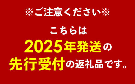 【先行受付】【2024年発送・訳あり品】生産組合が育てる厳選・完熟マンゴー約1.5kg