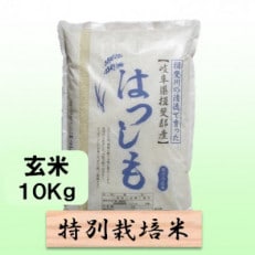 【令和6年産】特別栽培米 10kg【玄米】(ハツシモ)