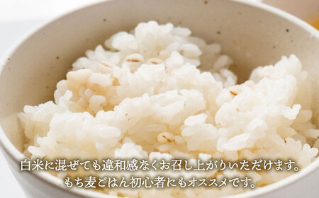 【プチプチのもち麦】キラリモチ 4kg（1kg×4袋）【大塚米穀店】雑穀 雑穀米 佐賀[HBL018]