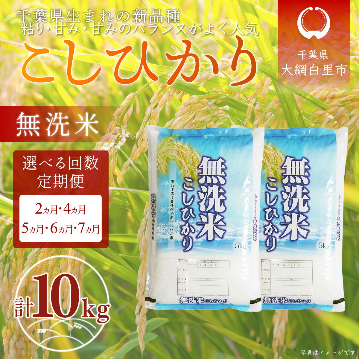 【ふるさと納税】千葉県産「粒すけ」無洗米 5kg 選べる配送回数 2回 / 3回 / 4回 / 5回 / 6回 / 7回 ふるさと納税 米 定期 無洗米 粒すけ 千葉県 大網白里市