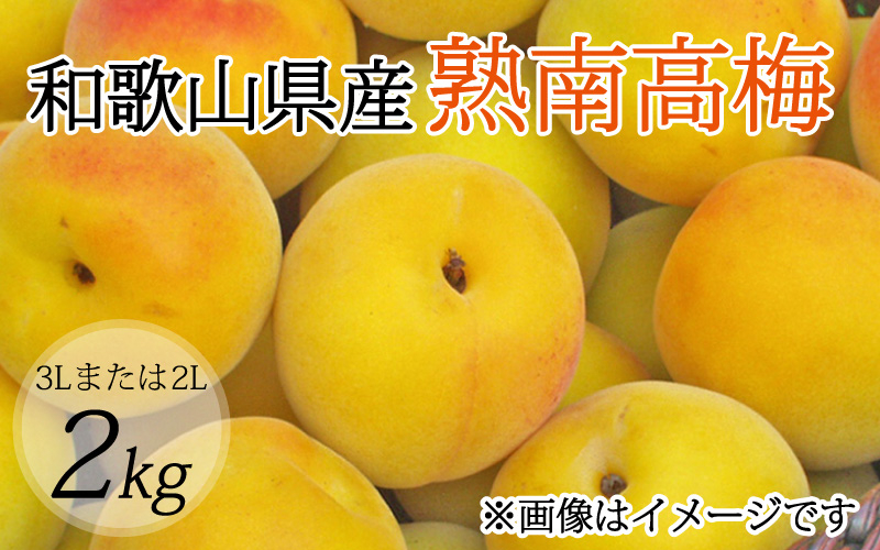 【梅干・梅酒用】（3Lまたは2L－2Kg）熟南高梅＜2026年6月上旬～7月上旬頃発送予定＞フルーツ 果物 くだもの 食品 人気 おすすめ 送料無料【ART06】【art008B】
