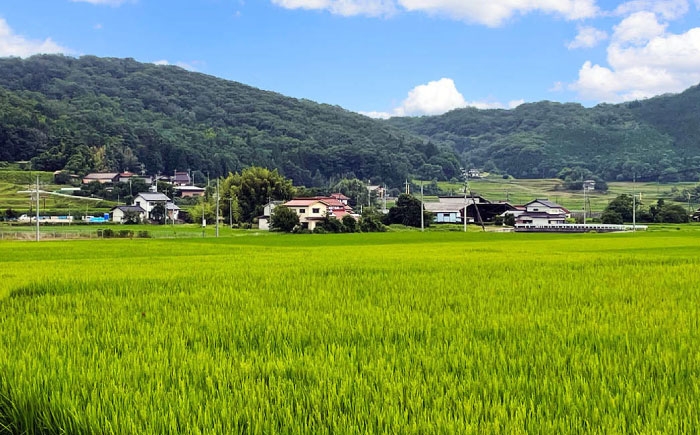 もち米 5kg 餅 お餅 おもち 赤飯 おこわ ぜんざい 大福 セット 小分け 