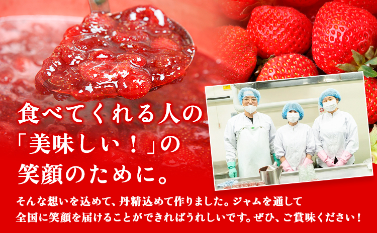 果実ぎっしり！木之内農園の手作りいちごジャム 2kg《30日以内に出荷予定(土日祝除く)》いちご ---isms_kinonsb_30d_24_16000_2kg---