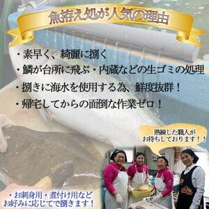 岬だより 釣ったお魚プロが代わりに下処理します 魚捌き券(3000円相当)