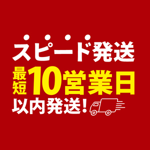 【10営業日以内に出荷】カルビー 堅あげポテト うすしお味 プッチ4 60g(15g×4袋)×10個｜Calbee お菓子 菓子 おやつ おかし ぽてち ポテチ スナック おつまみ ジャガイモ じゃが