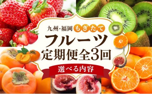 
                  寄附額改定↓ ＜選べる内容＞【定期便・全3回】九州・福岡もぎたて フルーツ定期便 A・B・C|果物 旬 国産 産地直送 いちご イチゴ 苺 あまおう みかん 蜜柑ミカン 極早生みかん 早味かん キウイ キウイフルーツ 甘うぃ 送料無料 那珂川市 福岡県
                