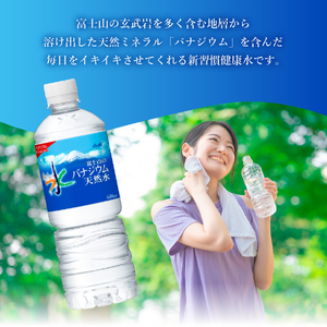 【2か月お届け】「アサヒおいしい水」富士山のバナジウム天然水 1箱(24本入）PET600ml 2回 水定期便 ミネラルウォーター 毎月 天然水 飲料水 保存 防災 備蓄 防災グッズ ストック 山梨 