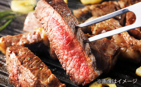 長崎和牛 ロースステーキ ハーフ 600g（150g×4枚） 【佐世保エスディー食品株式会社】[DBW051]